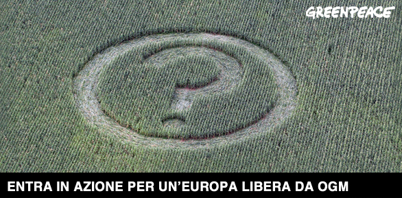 cautela_ogm_greenpeace
